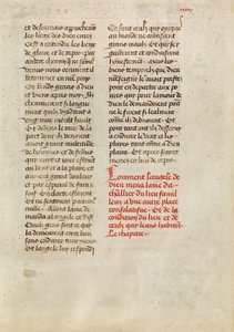 Página de texto de Unbekannt Unbekannt